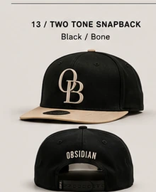 Two Tone Snapback